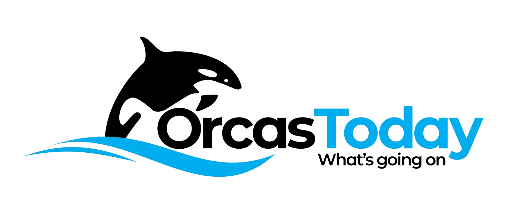 (c) Orcastoday.com